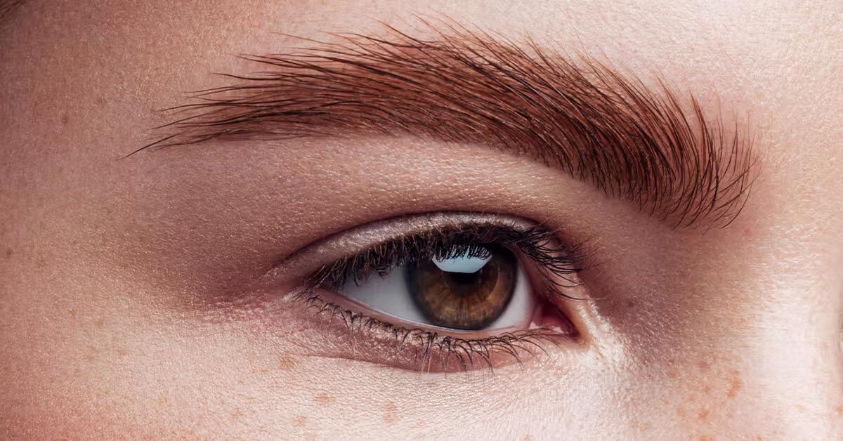 Freshly laminated, brushed-up brows